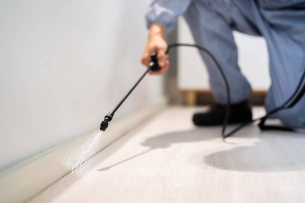 Licensed Pest Control service in Dryden, MI - Show Me Pest Control