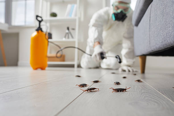 Post-Treatment Bed Bug Interceptor Monitoring in Dryden