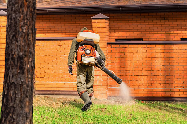 Bed Bug Clearance Verification and Documentation in Dryden